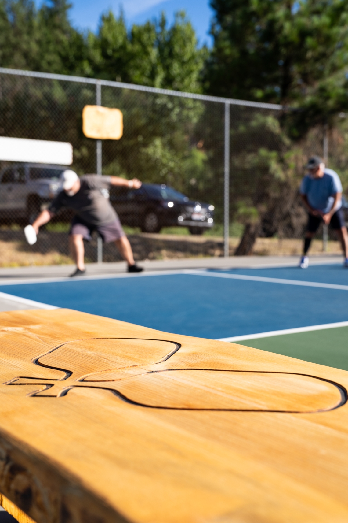 Pickleball paddles and net