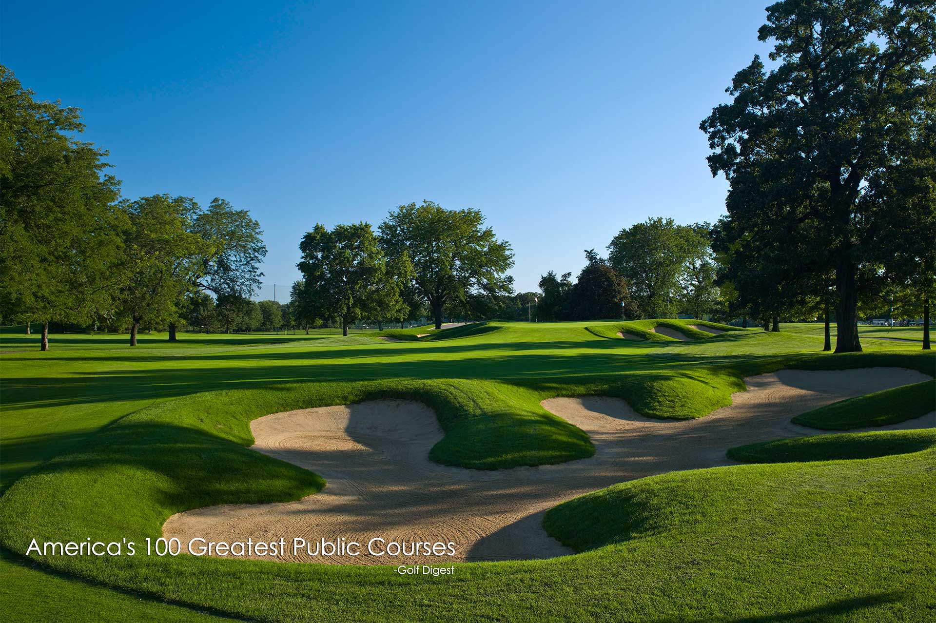 Cog golf course stock options