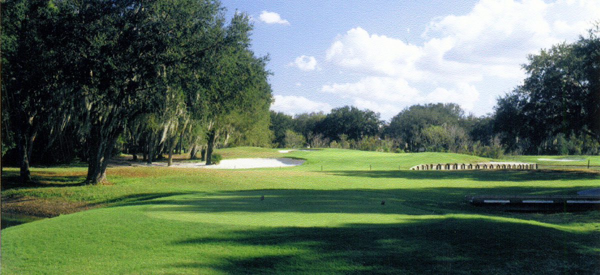 Bloomingdale Golfers Club, Valrico , Florida Golf course information