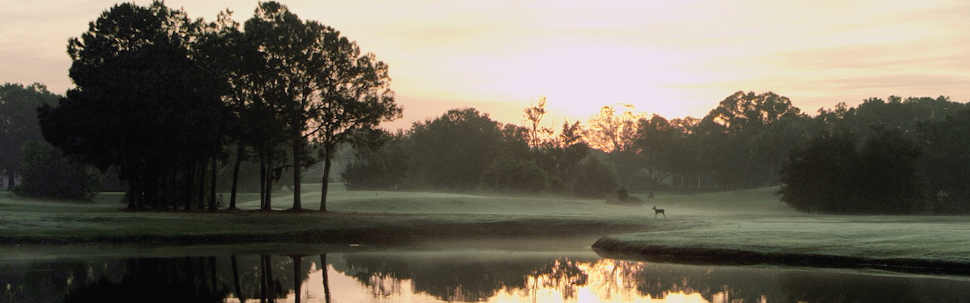 The Eagles Golf Club Odessa Florida Tampa Bay