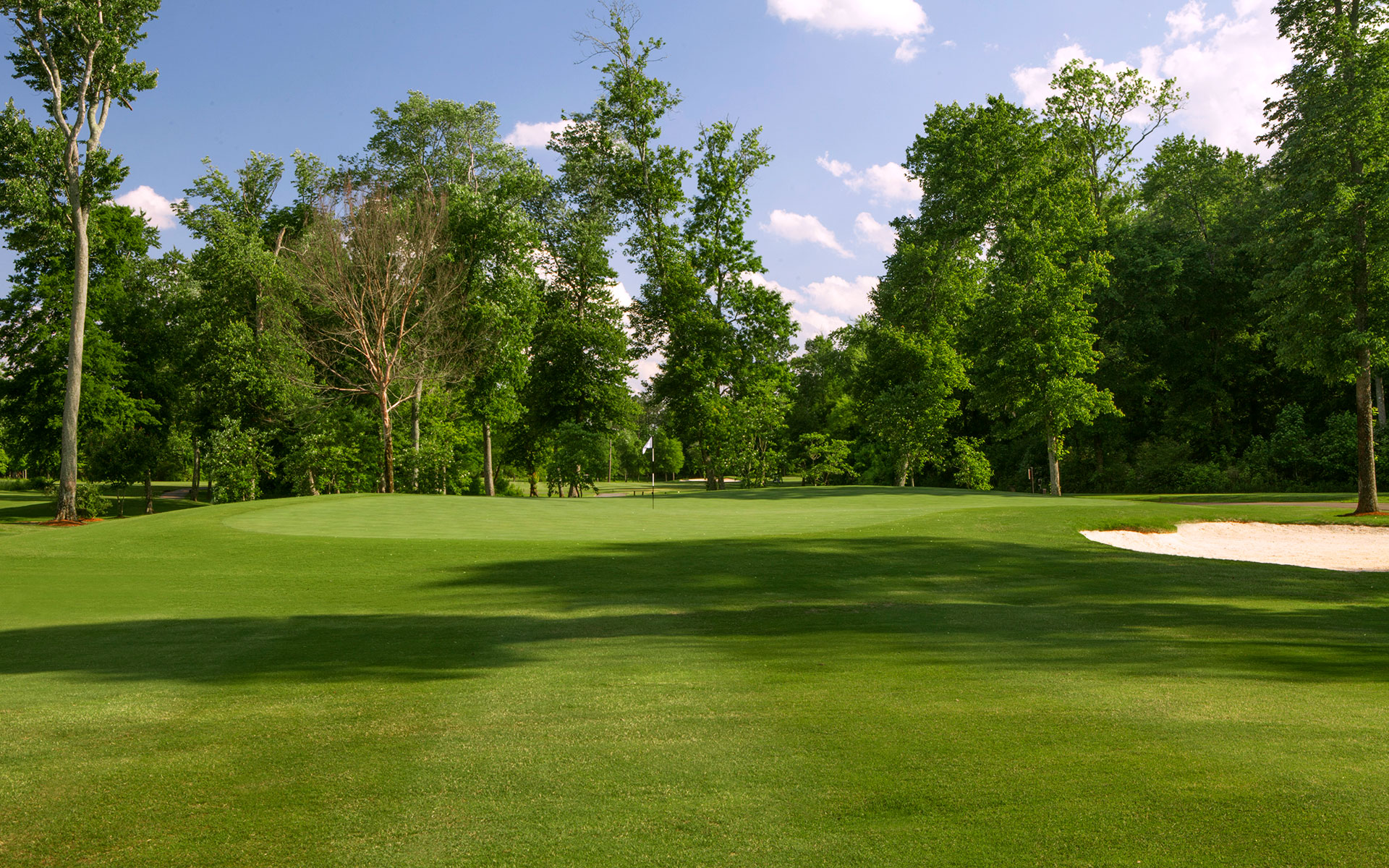 Atlanta Golf Course Summer Grove Golf Club Newnan, GA Jemsek Golf