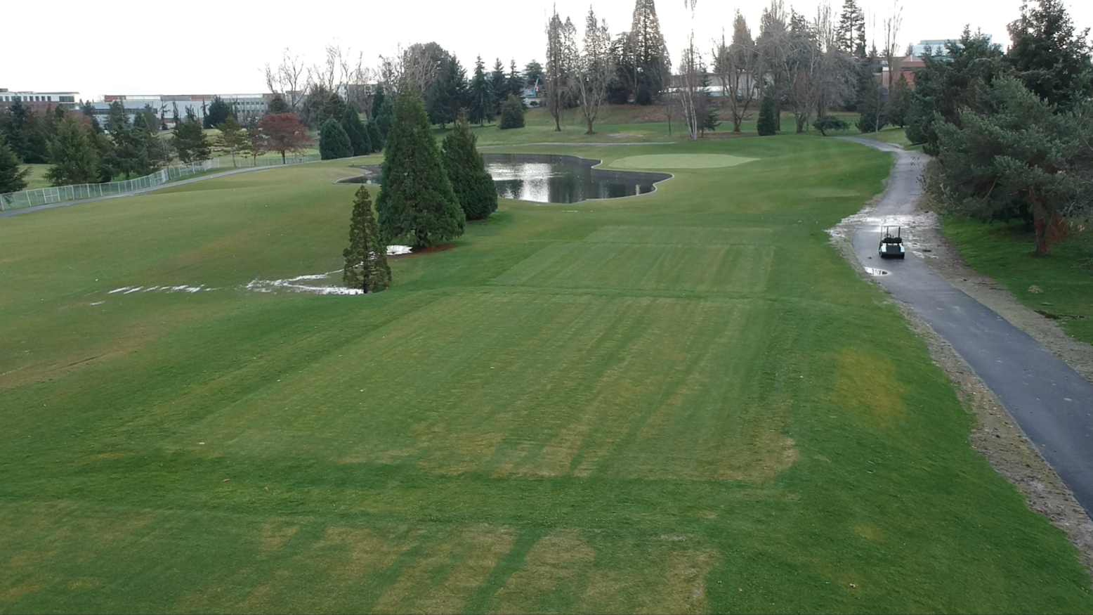 Everett Golf Legion Memorial And Walter Hall Golf Course   Hole 14 