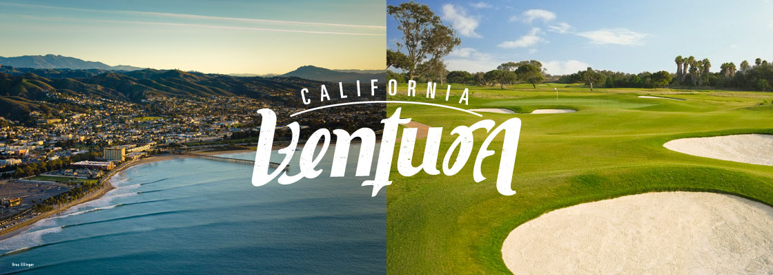 Image result for olivas links