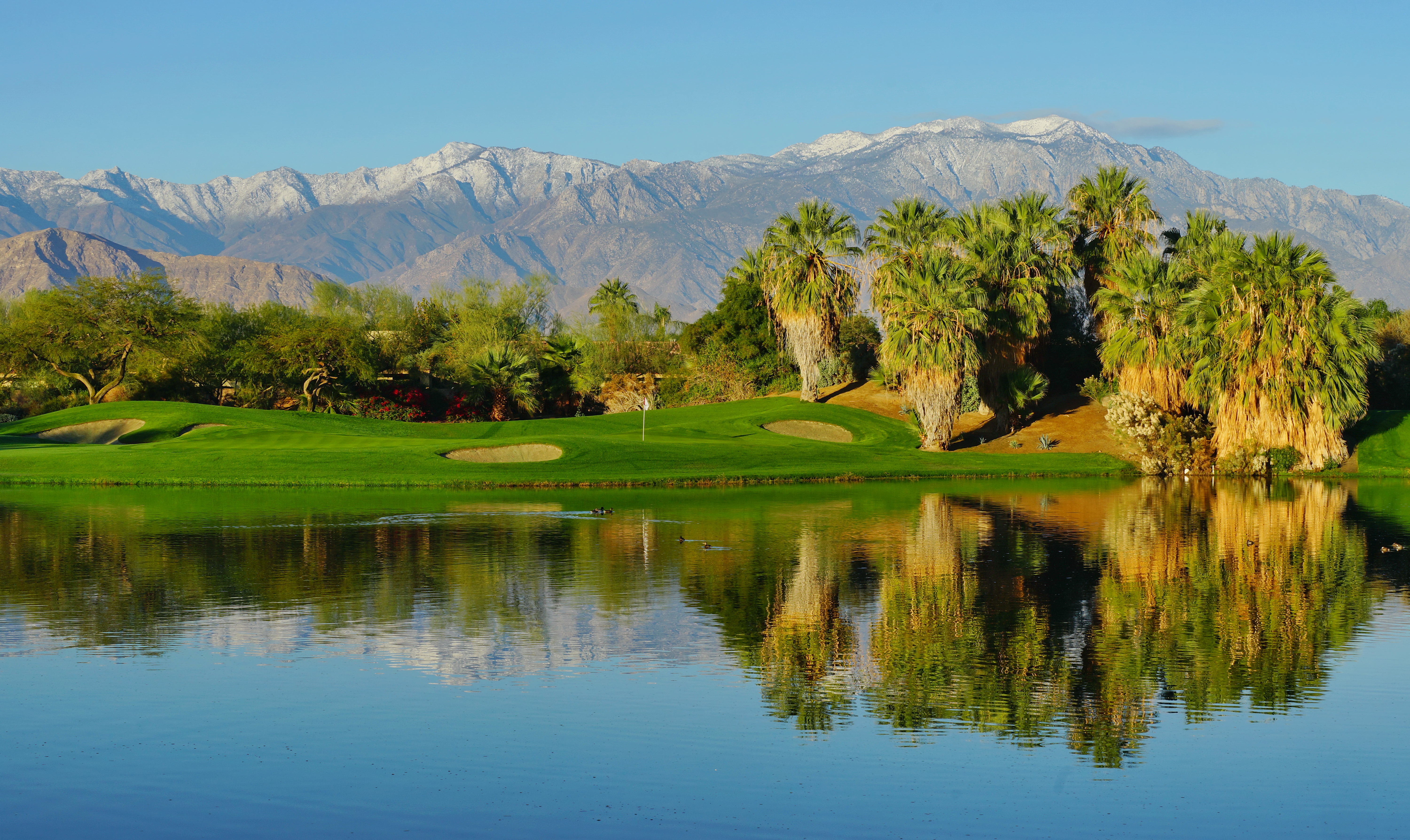 Meaghan and Landon Photos  Desert Willow Golf Resort