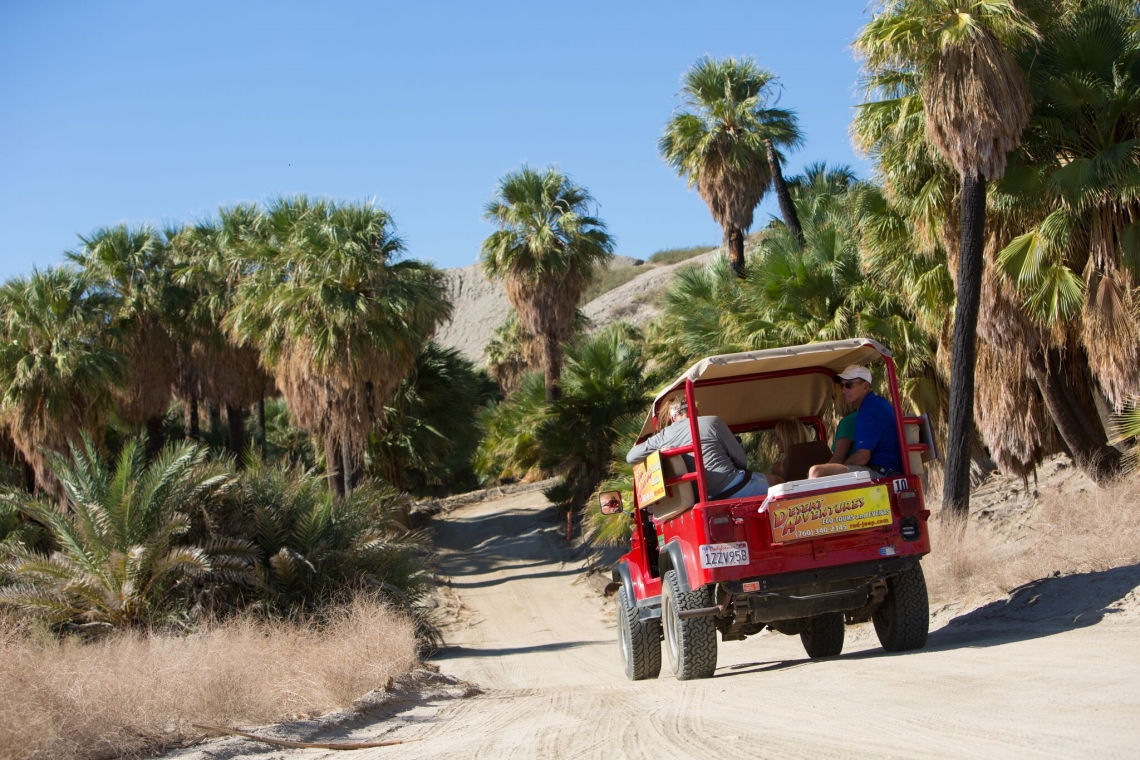 Desert adventures. Desert Adventure. Африканское такси на канале Travel Adventure. Palm Desert California. Palm Desert Stoner.