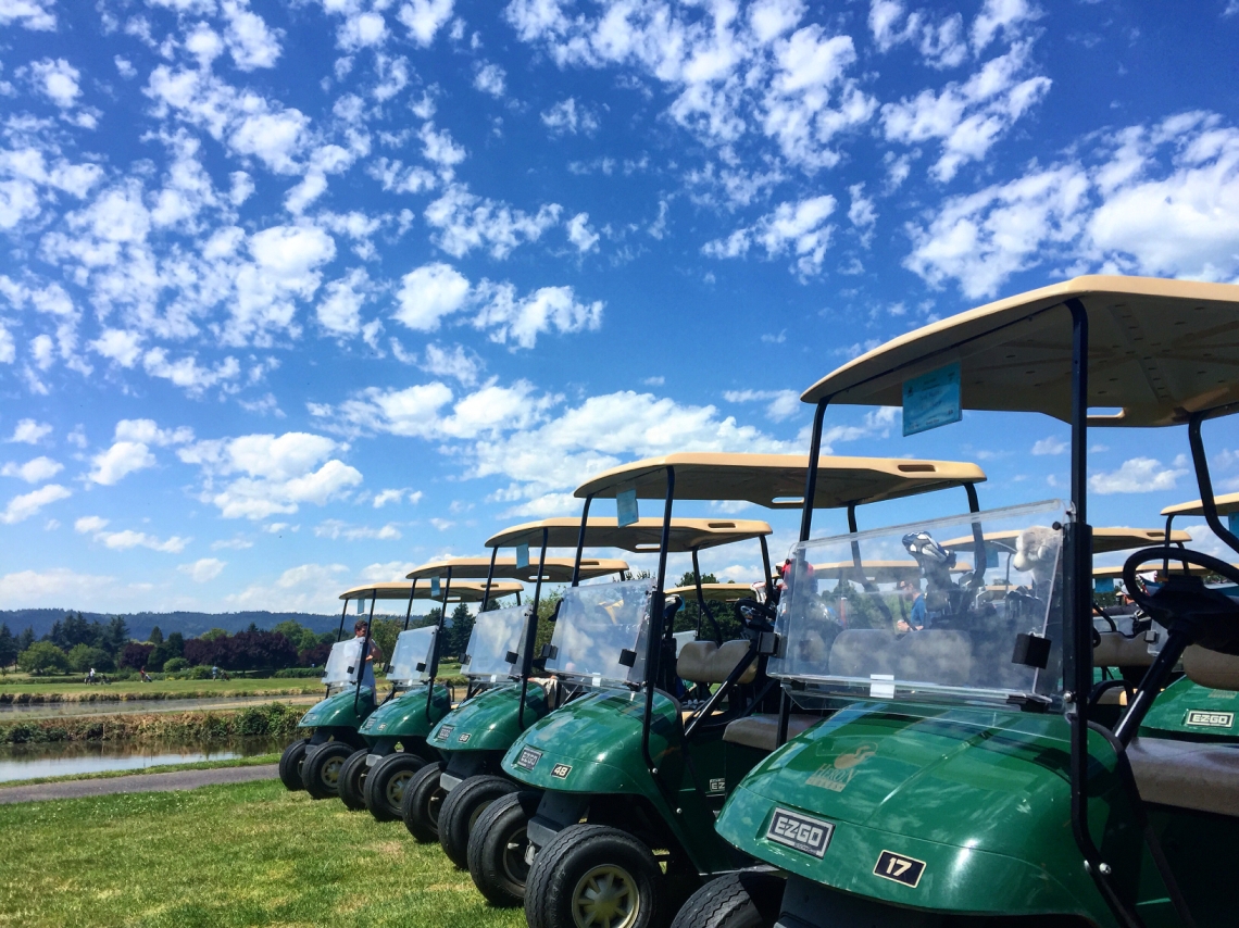 Heron Lakes Tournament Cart Line Up