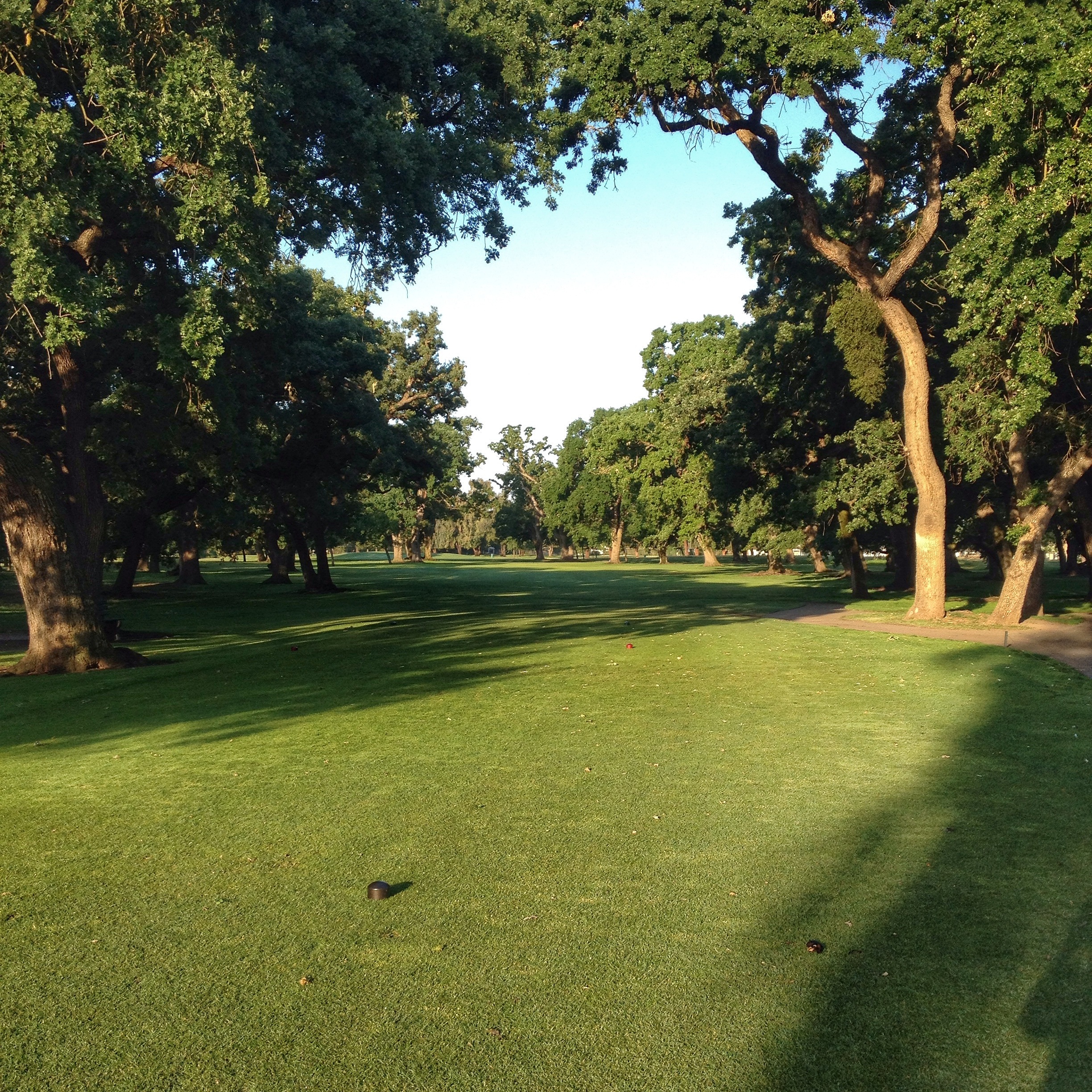 Stockton Golf Courses Swenson Park GC Van Buskirk GC Stockton, CA