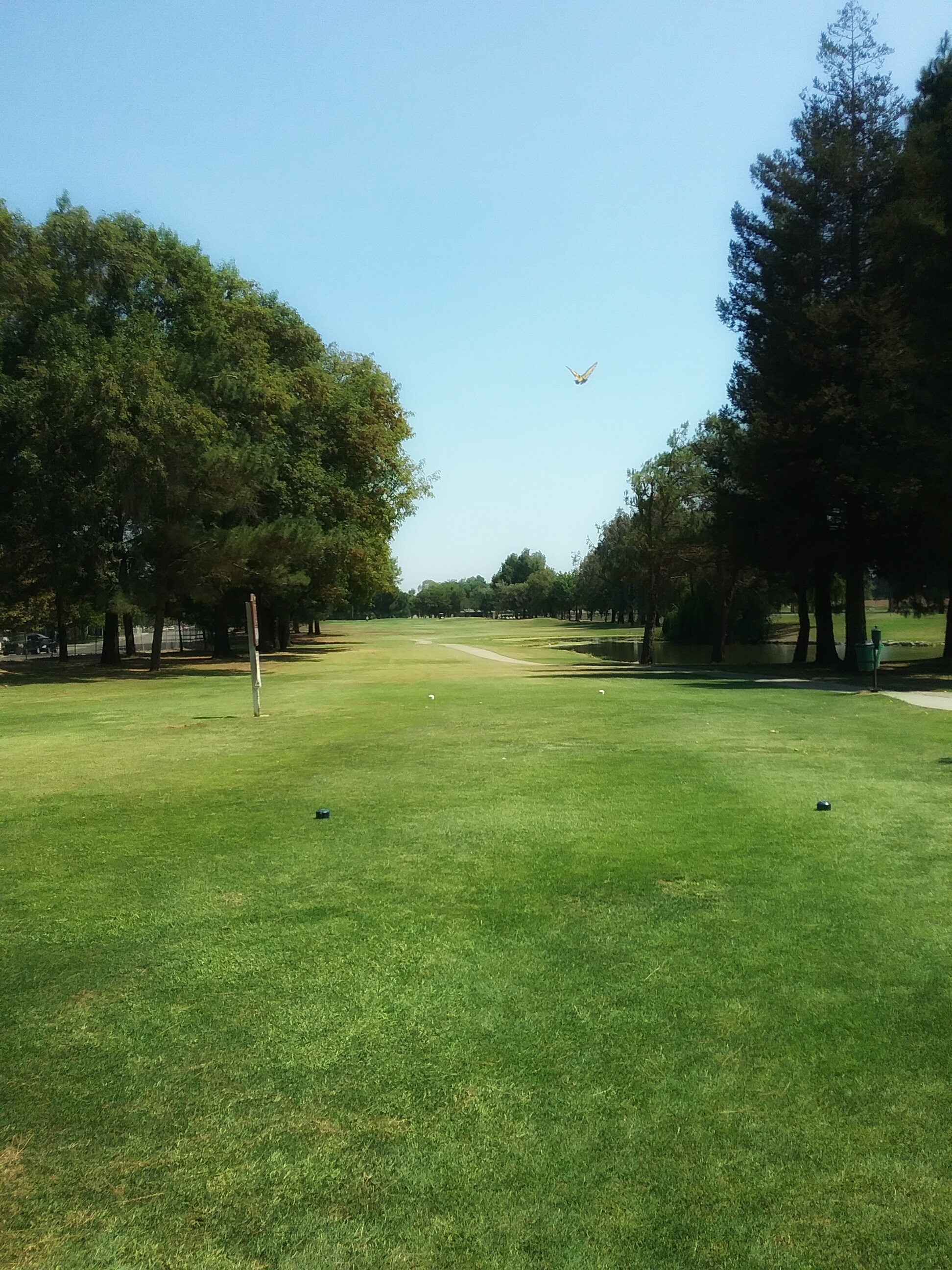 Van Buskirk Golf Course, Stockton Golf Courses, Stockton, CA