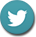 Twitter Circle Icon Footer Image