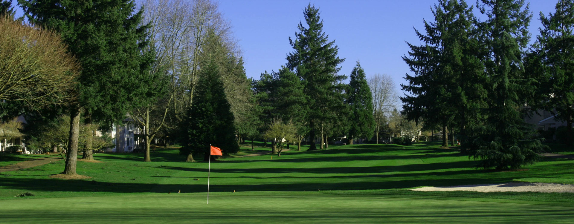 Charbonneau golf club green, Wilsonville, Oregon Golf course