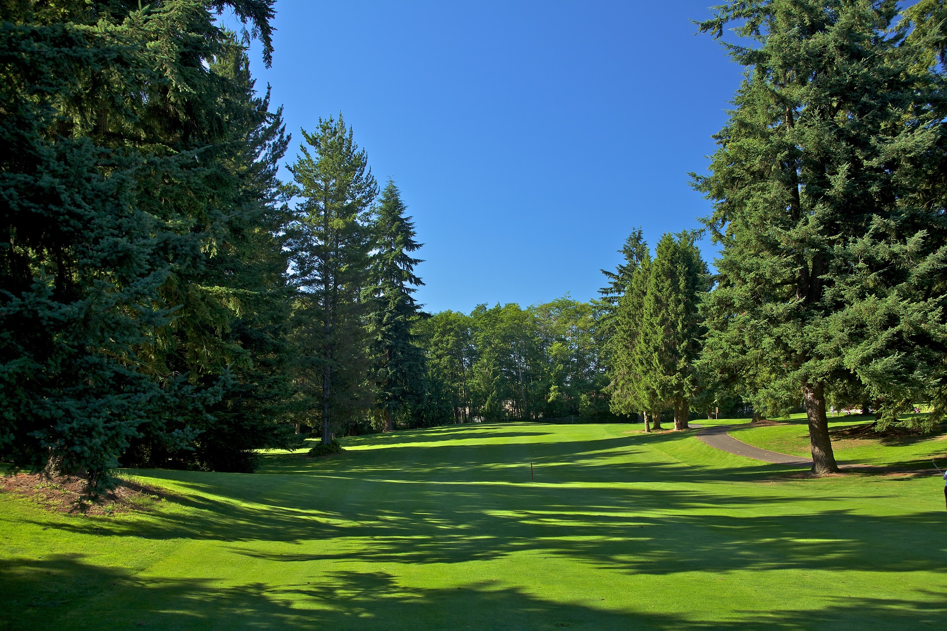 16+ Golf Courses In Everett Wa