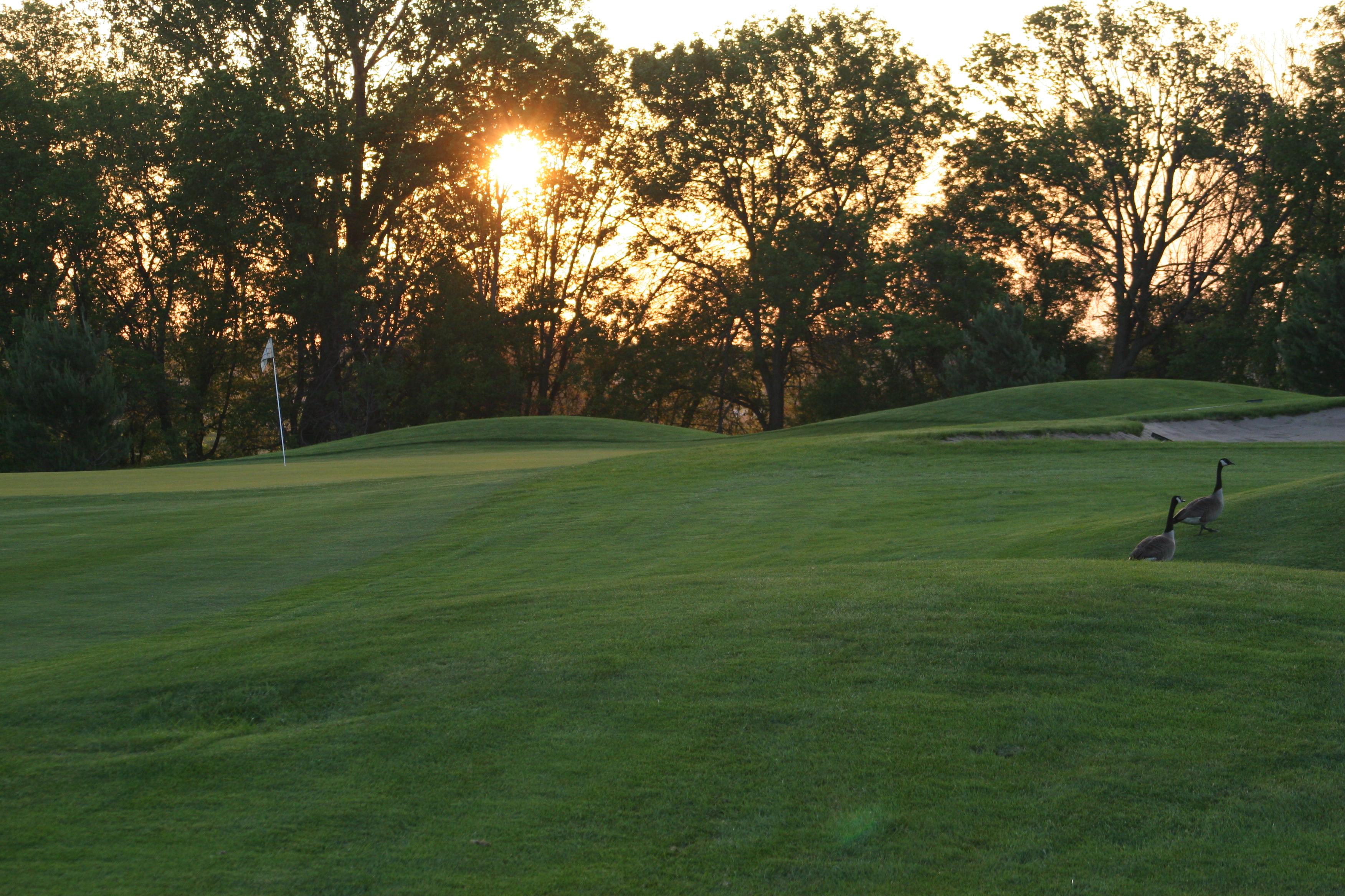 Omaha, NE Papillion, NE Public Golf Course Eagle Hills Golf